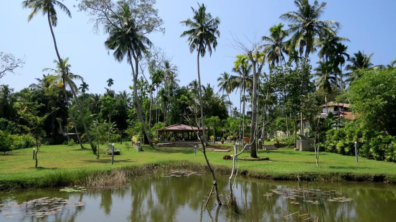 Avalon Village Resort Induruwa Buitenkant foto