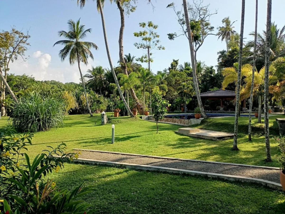 Avalon Village Resort Induruwa Buitenkant foto