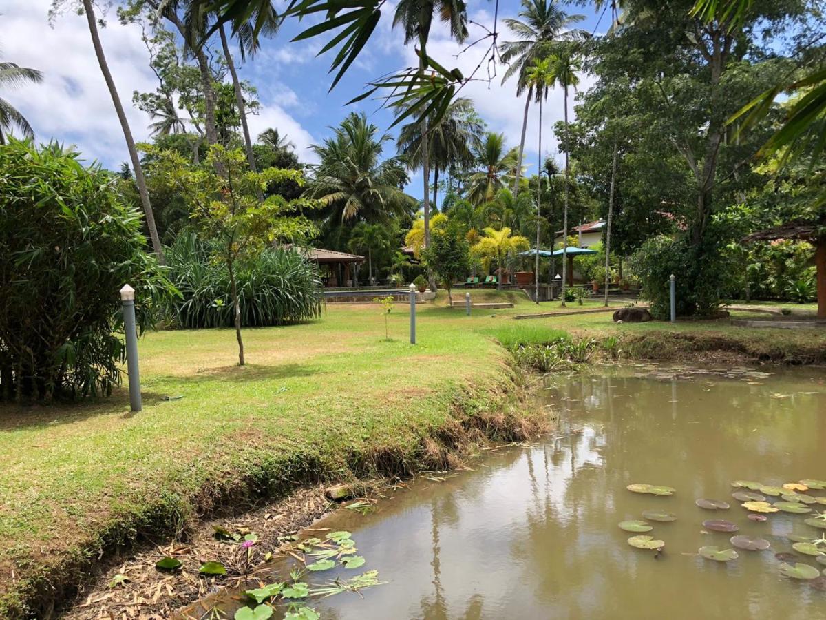 Avalon Village Resort Induruwa Buitenkant foto