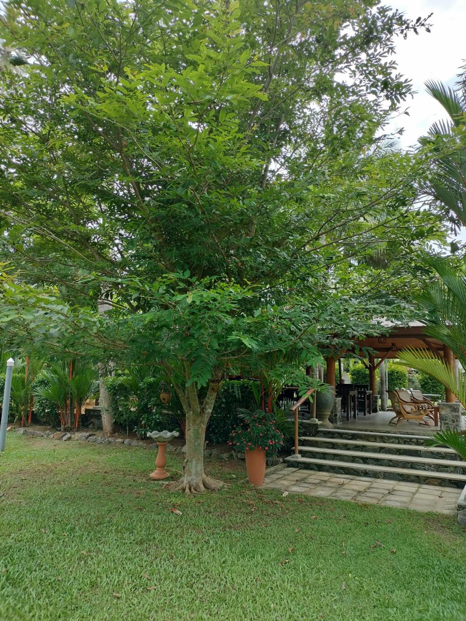 Avalon Village Resort Induruwa Buitenkant foto