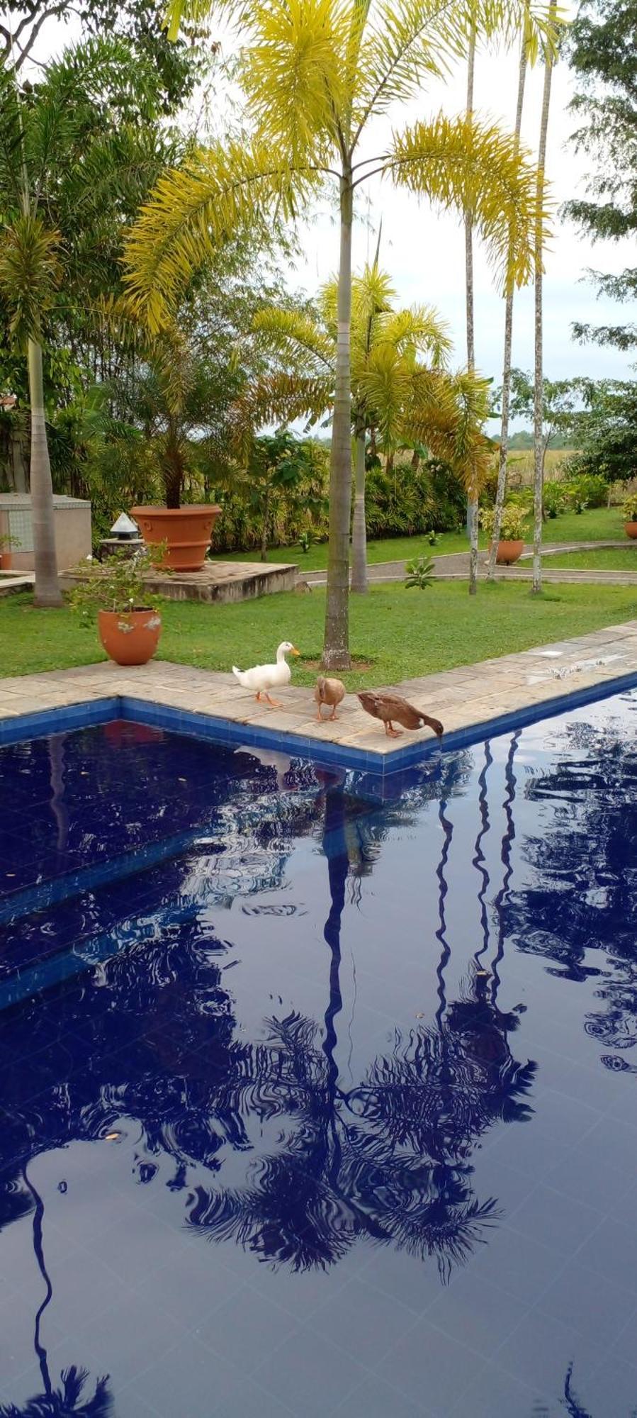Avalon Village Resort Induruwa Buitenkant foto