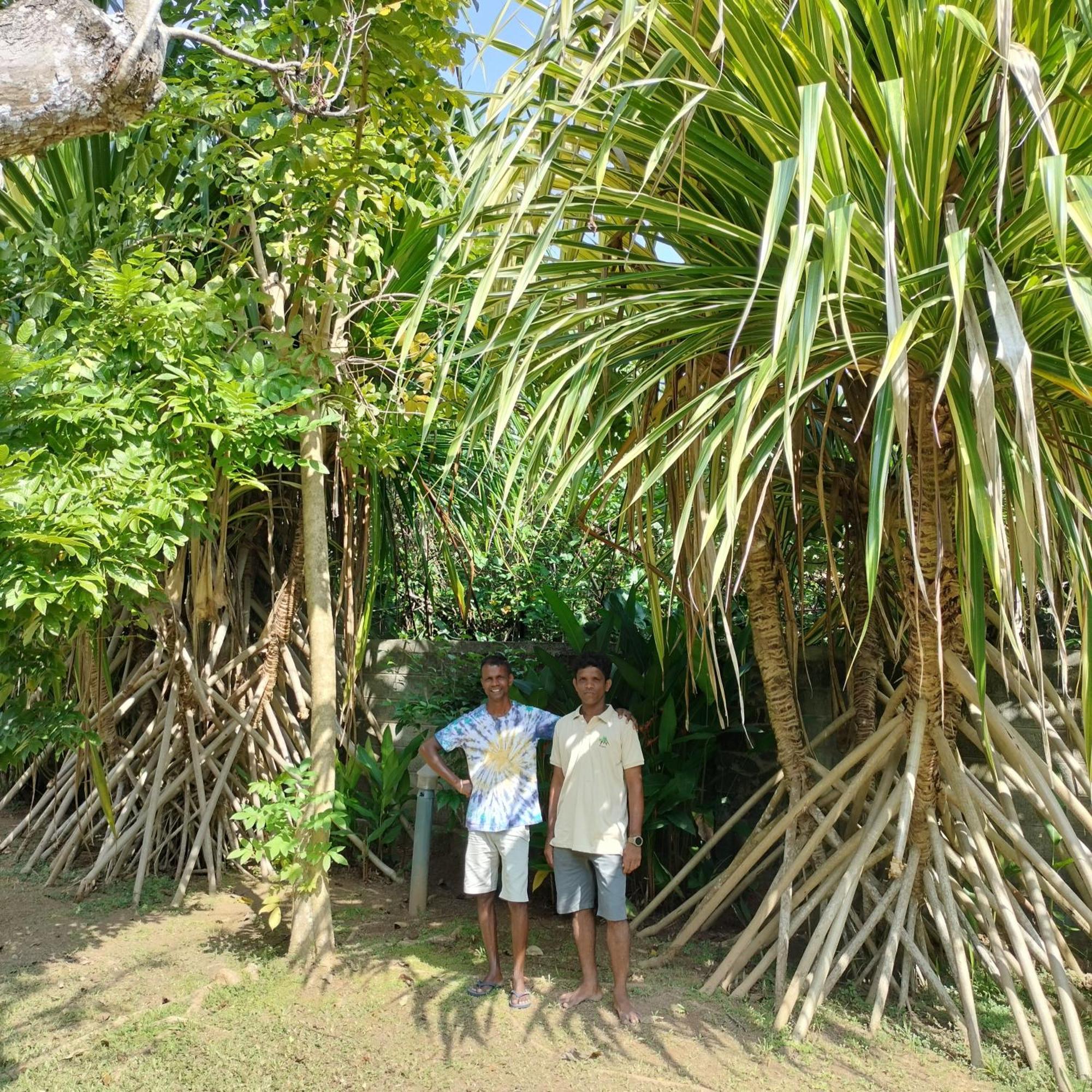 Avalon Village Resort Induruwa Buitenkant foto