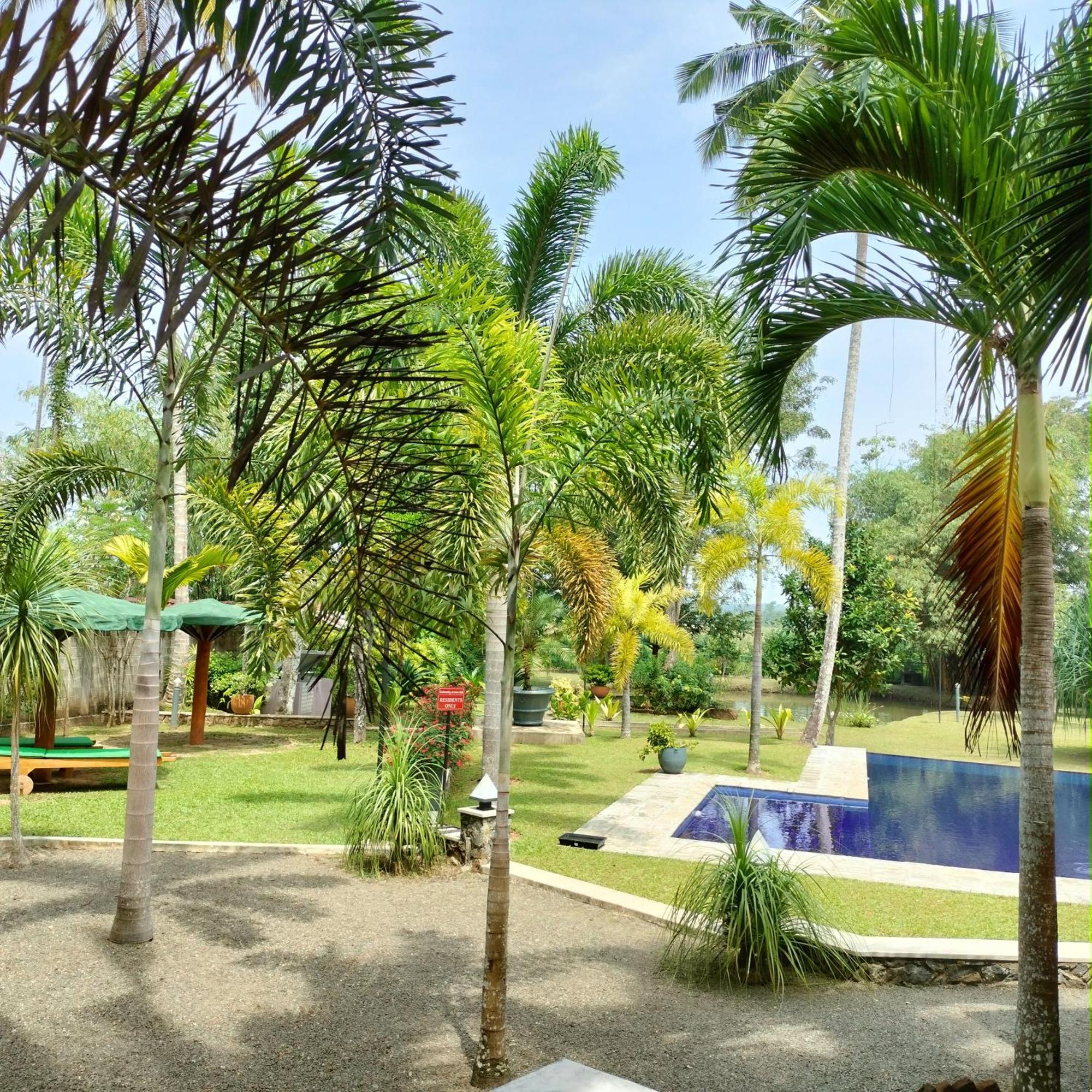 Avalon Village Resort Induruwa Buitenkant foto