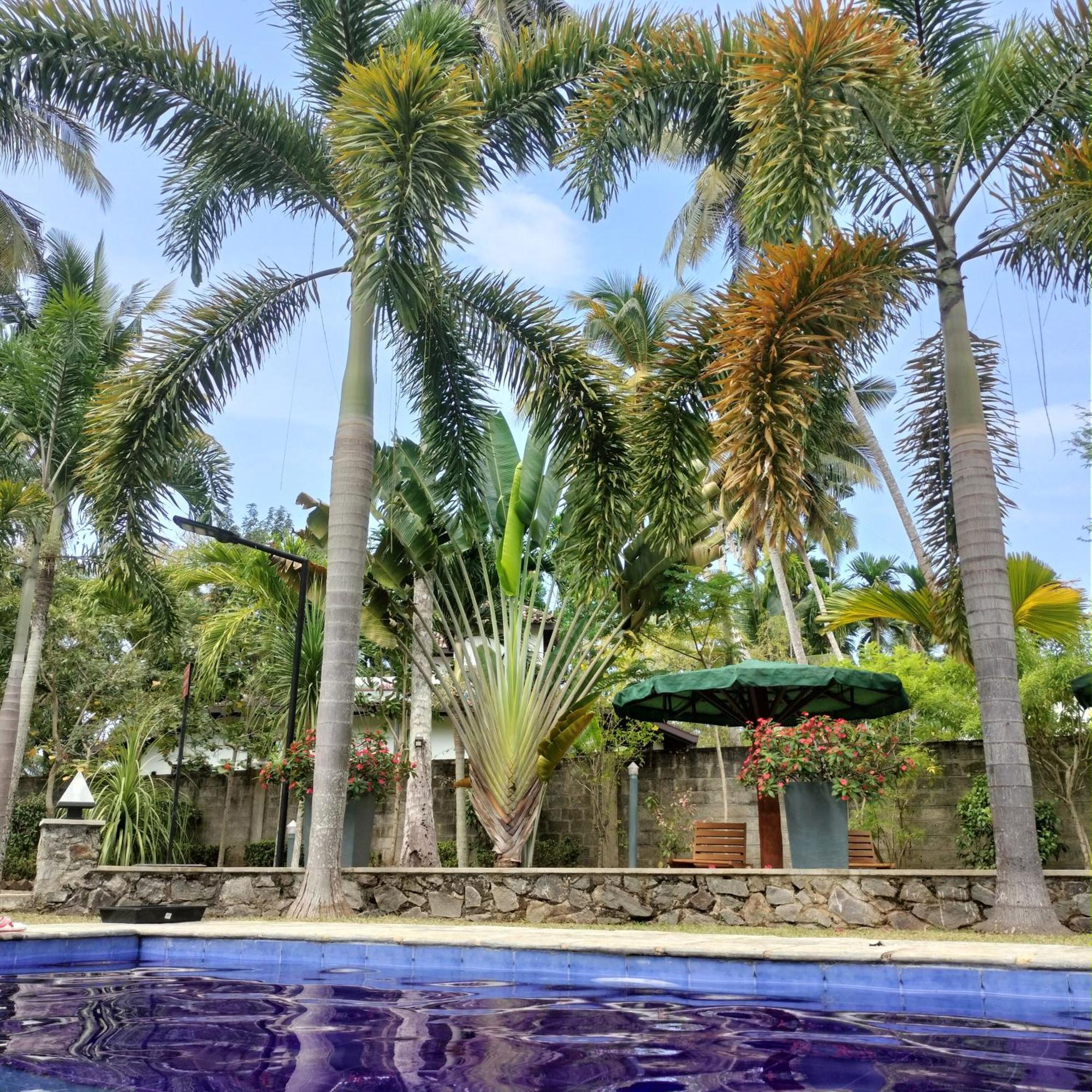 Avalon Village Resort Induruwa Buitenkant foto