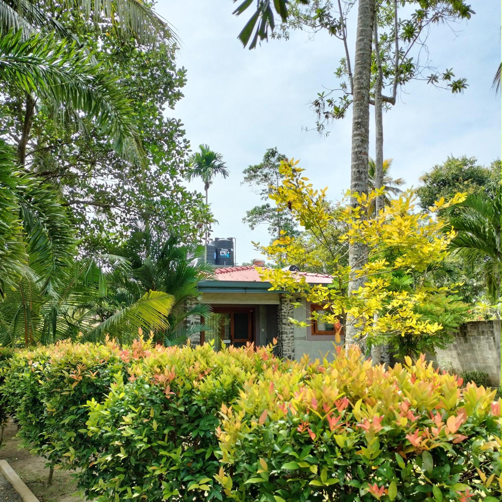 Avalon Village Resort Induruwa Buitenkant foto