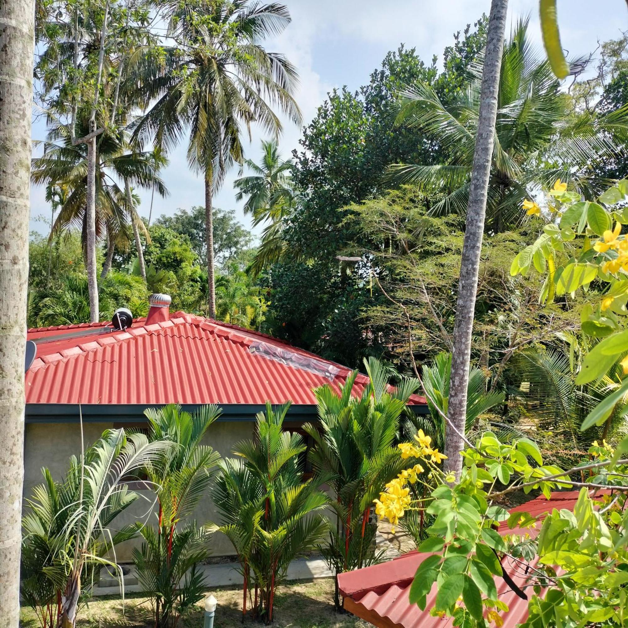 Avalon Village Resort Induruwa Buitenkant foto