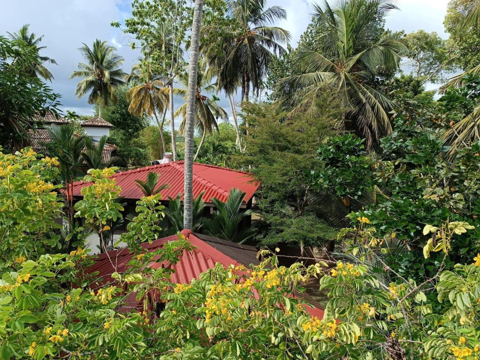 Avalon Village Resort Induruwa Buitenkant foto